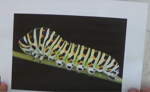 Jan Pittman – Kenneth Jack Memorial Drawing Award 2021 Exhibition