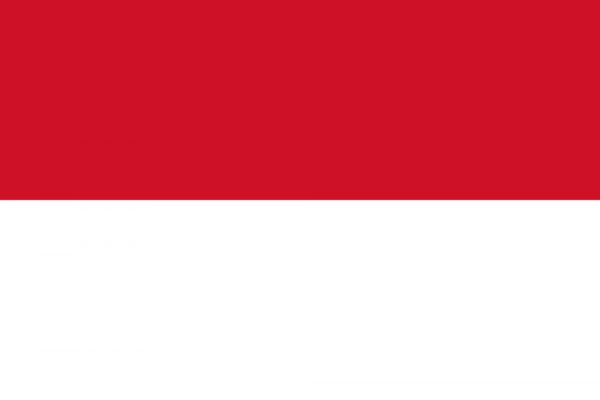 INDONESIA - Indonesian Watercolour Summit