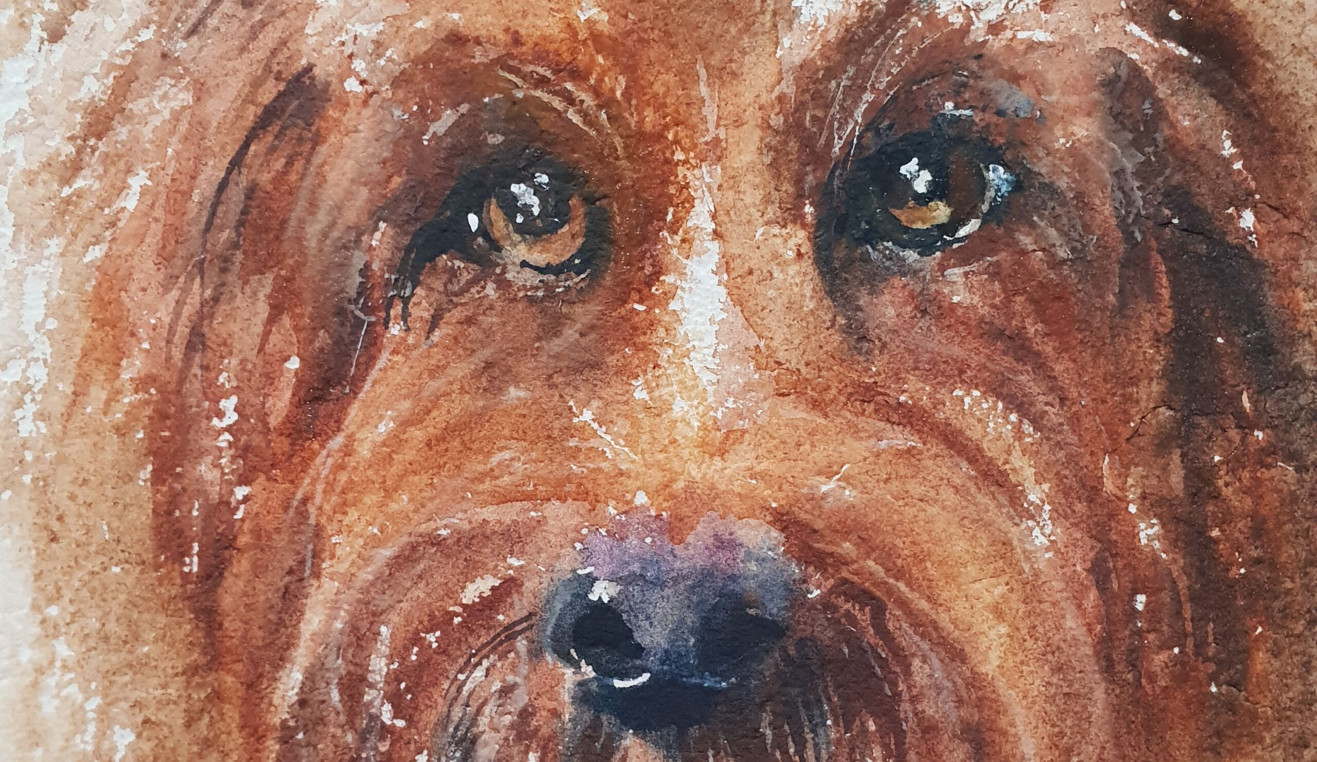 Animals Galore – Week 9 – Corona Creativity Challenge