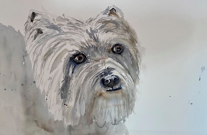 Corona Creativity Challenge – Week 9 – Pets