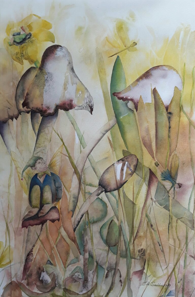 Mushroom Magic
