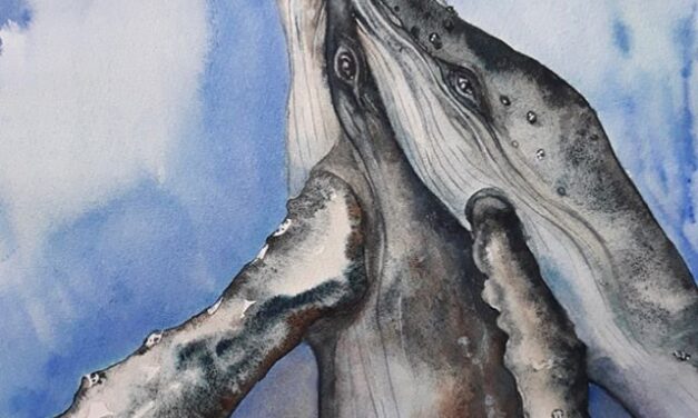 Meeting next Tuesday