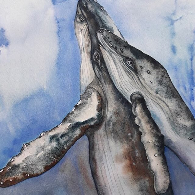 Meeting next Tuesday