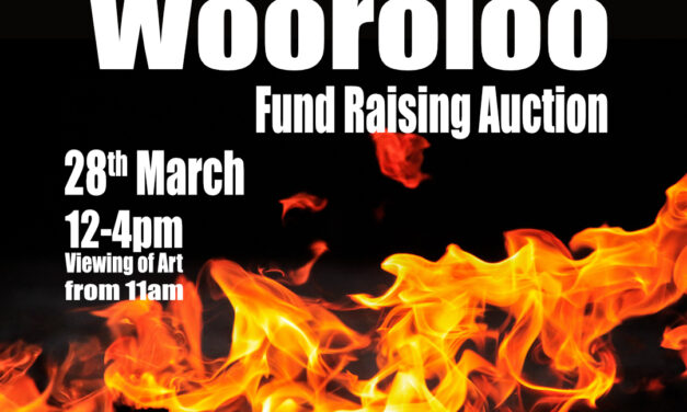 Art for Wooroloo Fund Raising Auction