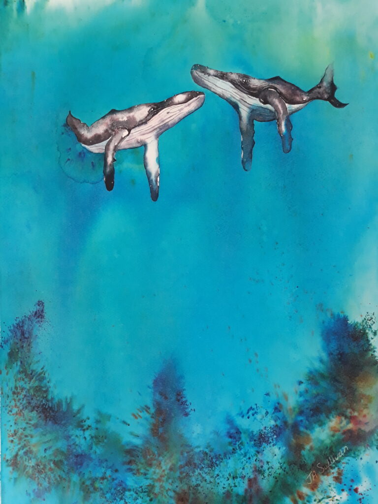 Whale Song
