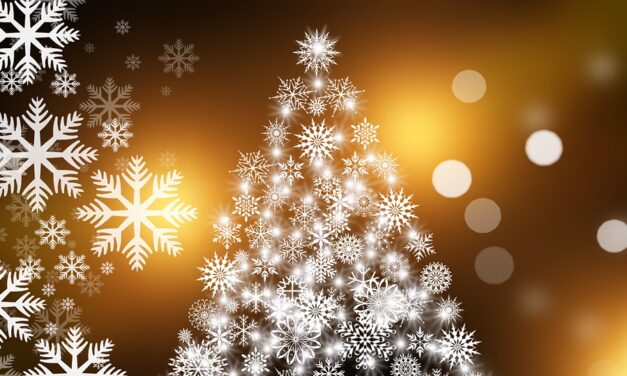 November Meeting and Christmas Lunch