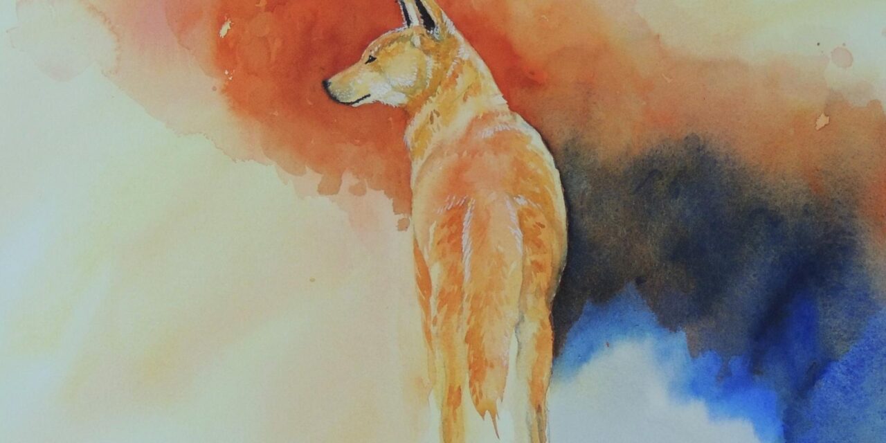 Exploring Watercolour – WA Shipwrecks Museum – 13 Aug – 30 October