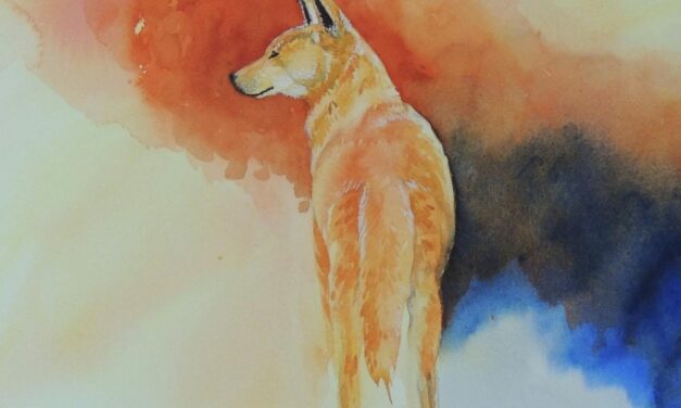 Exploring Watercolour – WA Shipwrecks Museum – 13 Aug – 30 October