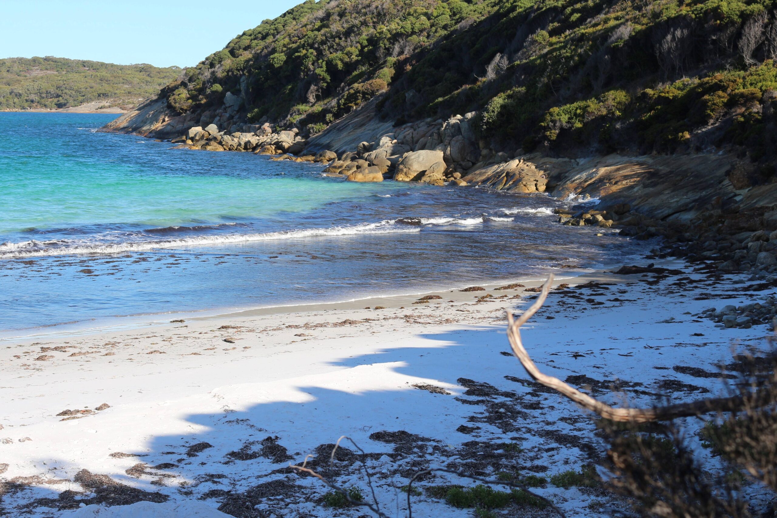 Jude Scott – Albany Workshop – 15 – 19 February 2024