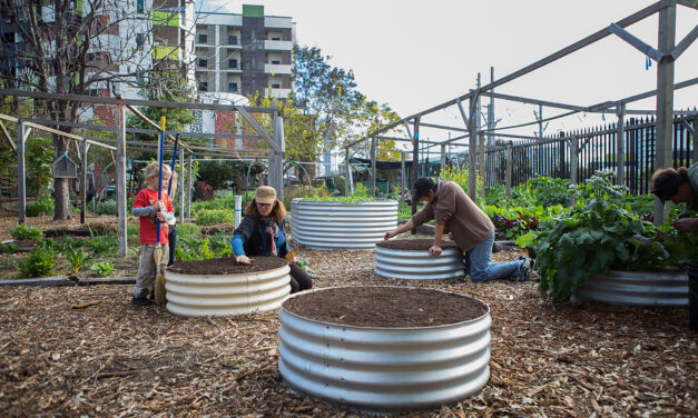 Social Paint Out – 7 December 2024