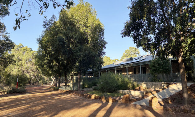 Social Paint Out – Saturday 3 May 2025