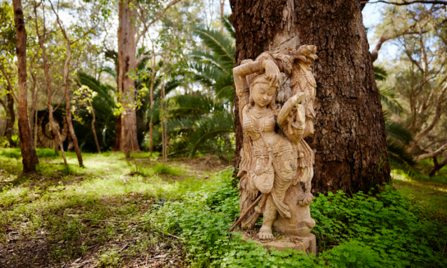 Social Paint Out – Sunday 2 February 2025