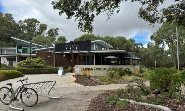 Social Paint Out – Saturday 1 March 2025