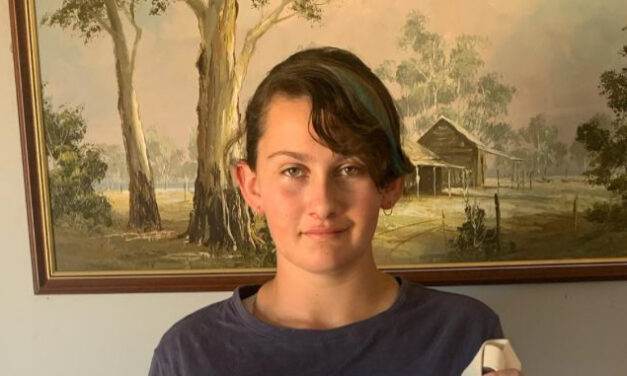 Boyup Brook Art Awards – Young Artist Winner