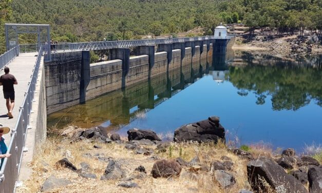 Social Paint Out – October 2025 Cancelled Due to Weather