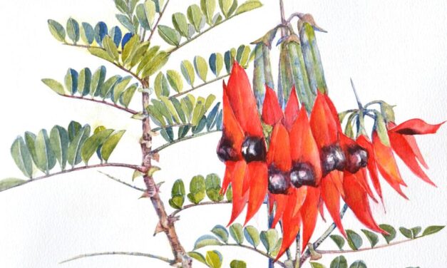 Spirit Of Brush Heart Of Land