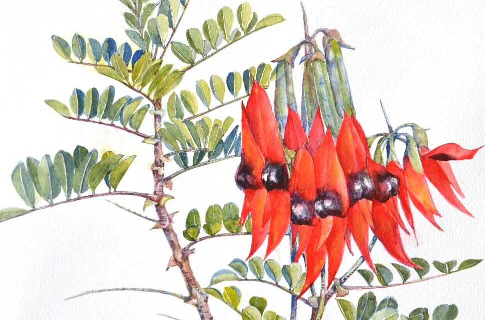 Spirit Of Brush Heart Of Land