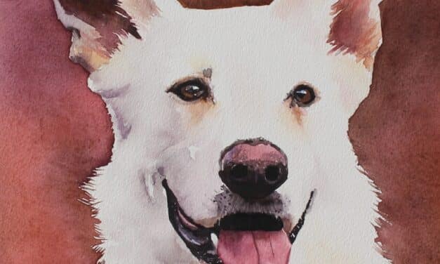 Paws & Personality: Pet Portraits in Watercolour with Renata Wright
