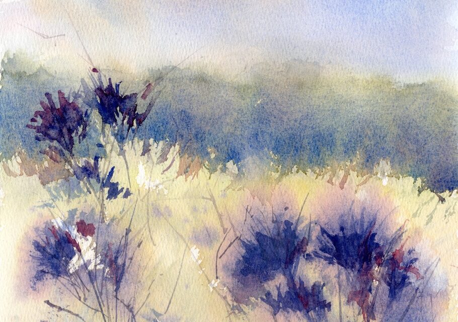 Newsletter March 2026