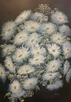 Shasta Crazy Petal Daisies