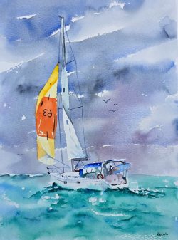 Full Sail