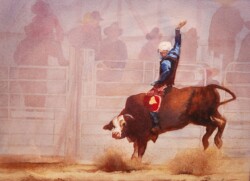 Boddington Rodeo