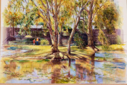 Irwin Zoo - Brisbane