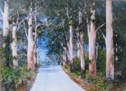 Scotts Rd Denmark WA