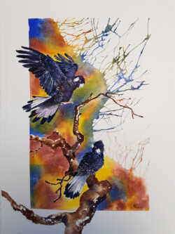 The Rains Are Coming