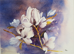 White Magnolia